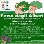 festa alberijpg (Copy)
