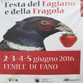 festa fagiano