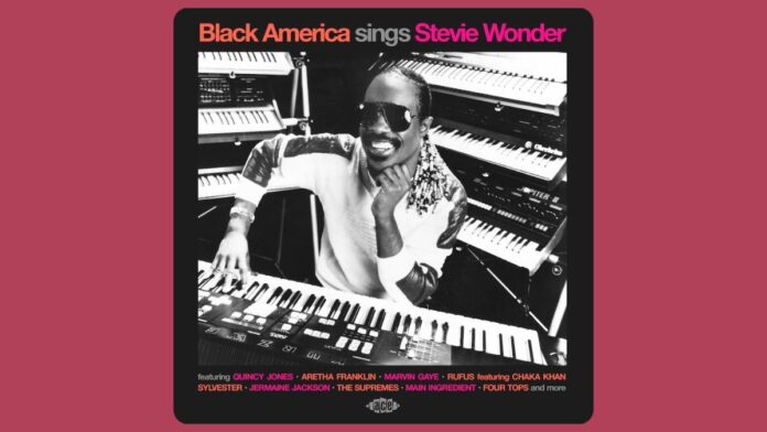 Stevie Wonder