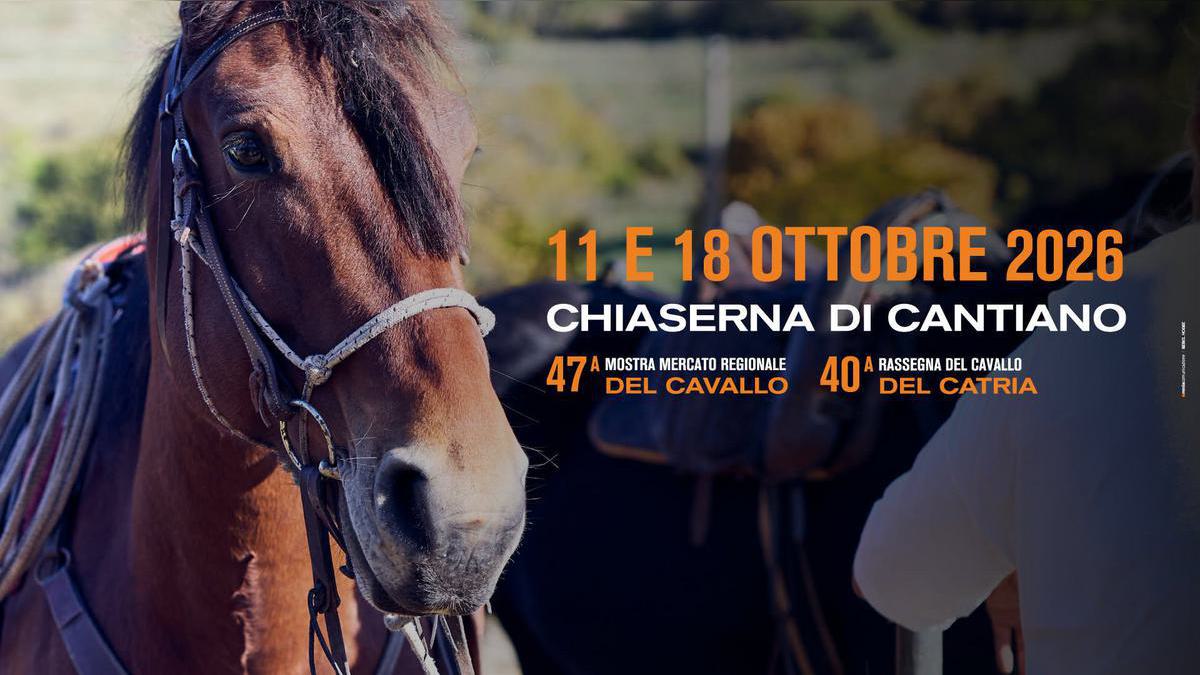 Cantiano Fiera Cavalli 2026